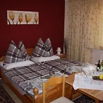 Schwarzenbacher Apartment Lungotz