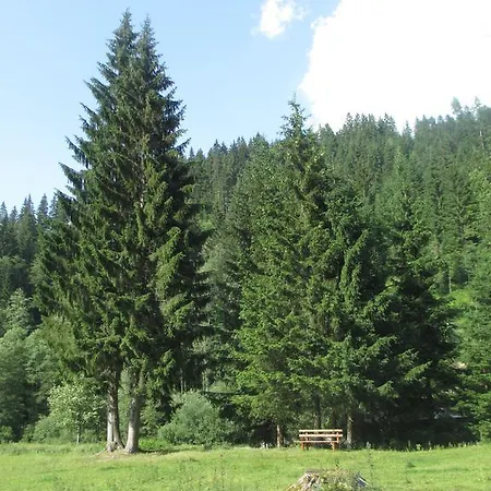 Schwarzenbacher Apartamento *