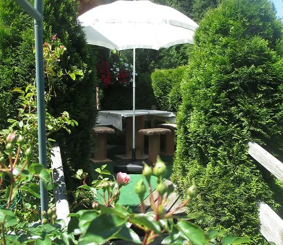 Schwarzenbacher Lungötz